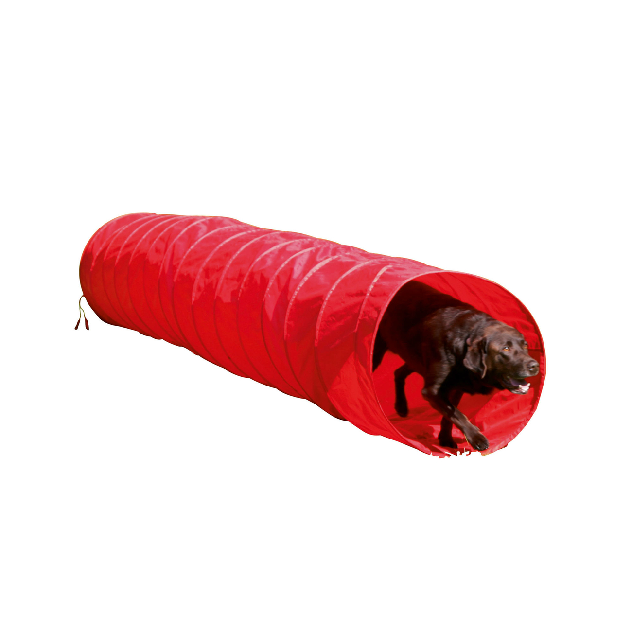 Agility Hundetunnel rot, 5m Bild 3