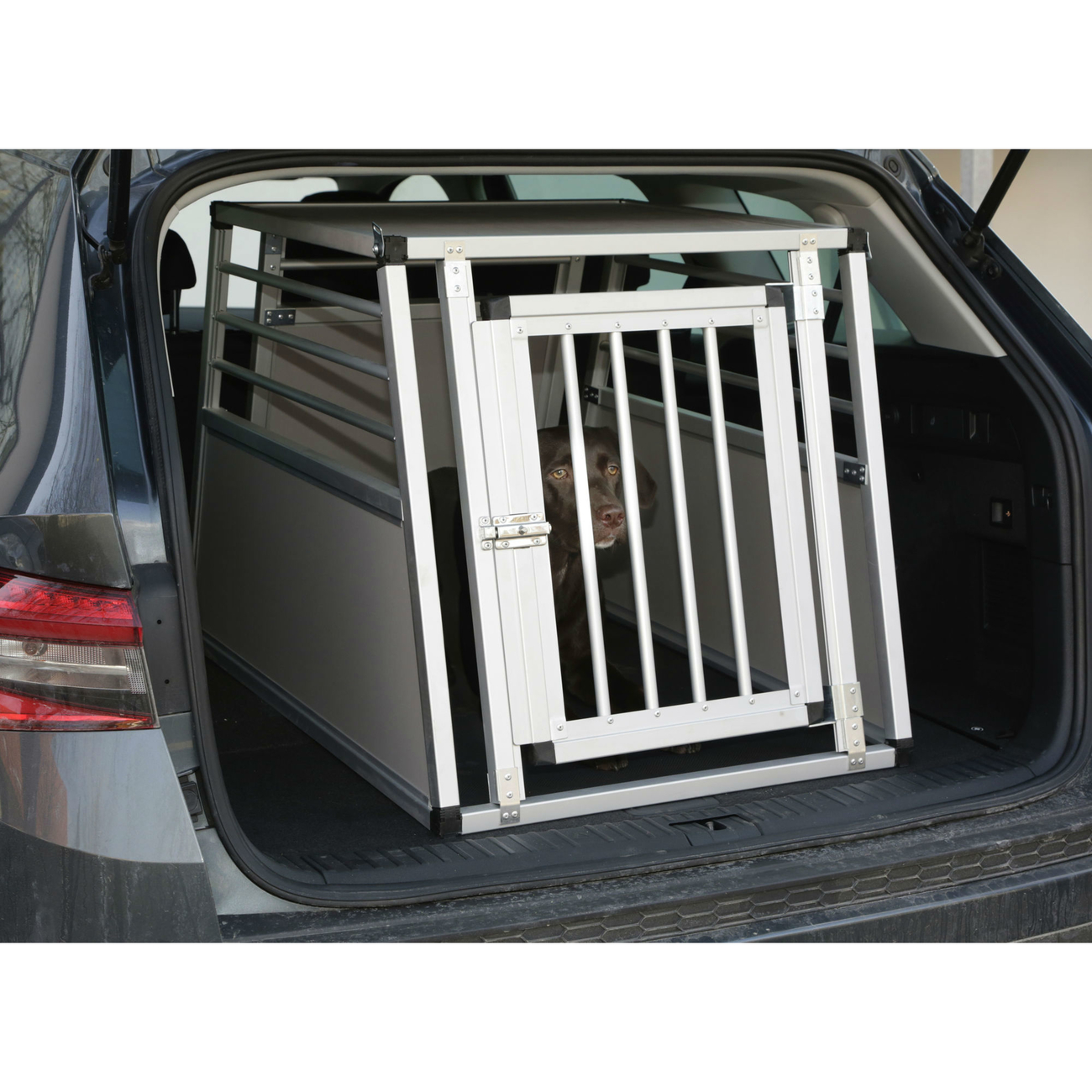 Alu-Hunde Transportbox Barry eintürig Bild 6
