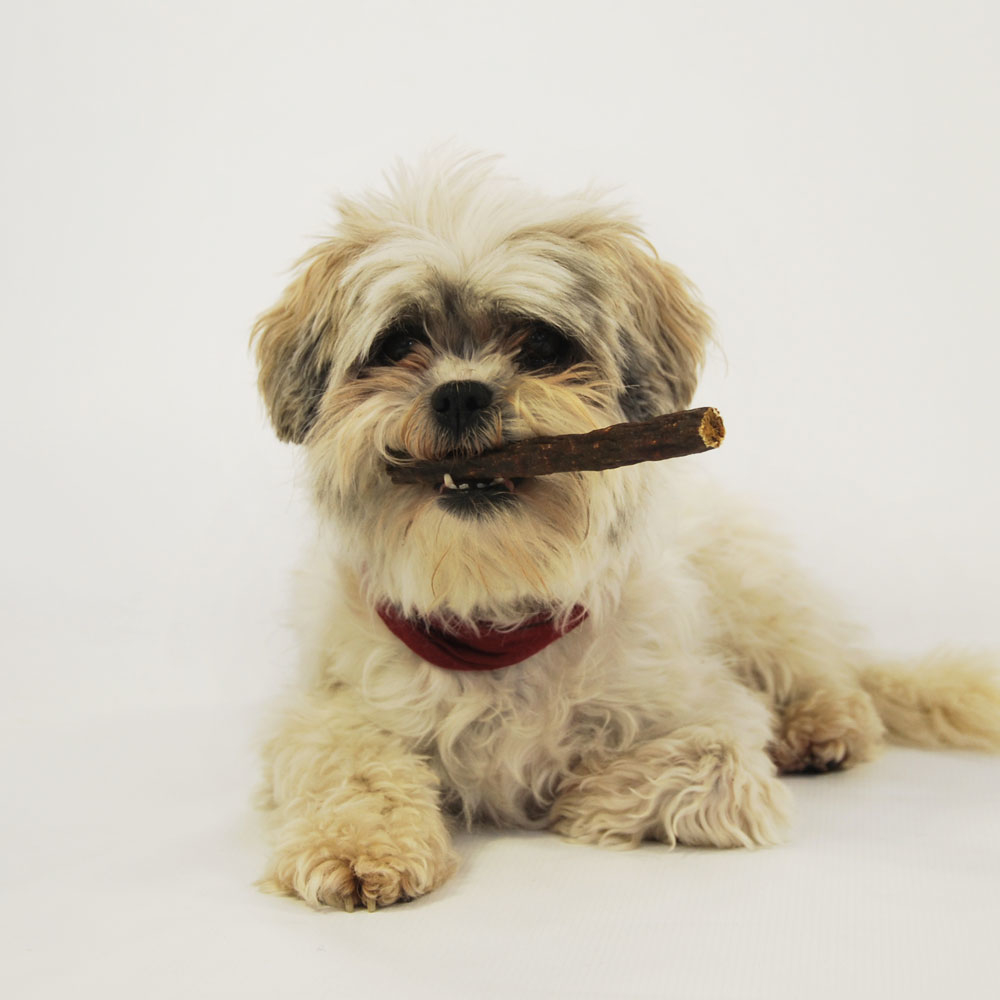 Anibio Bioli Wild Hundewurst Bild 2