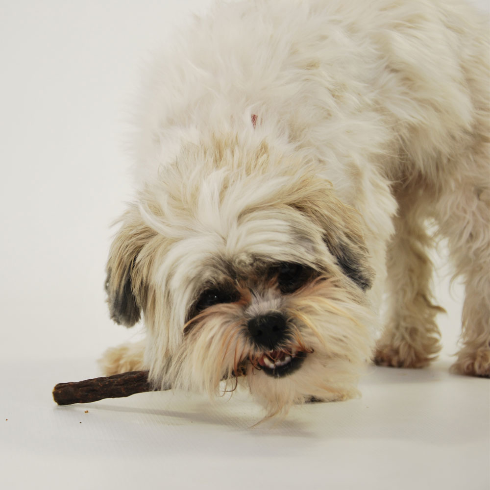 Anibio Bioli Wild Hundewurst Bild 4