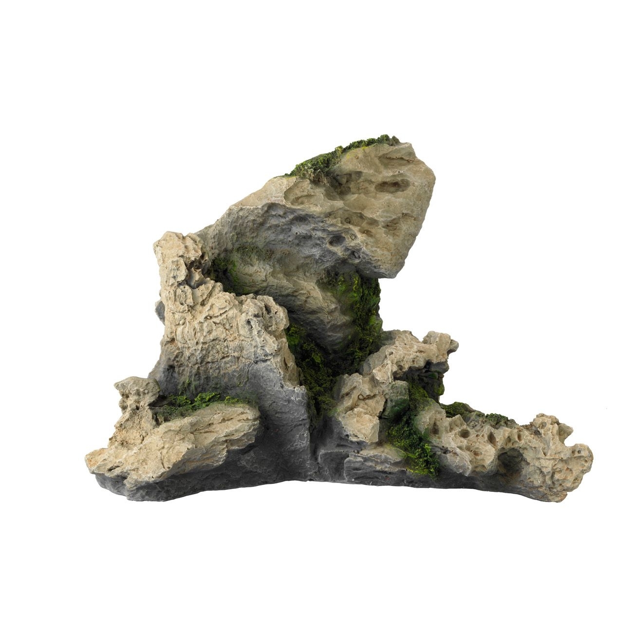 Aqua Della Aquascape DIY Bild 6