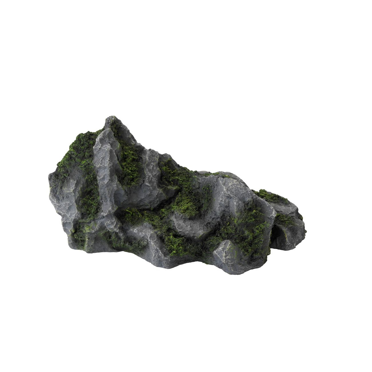 Aqua Della Aquascape DIY Bild 2