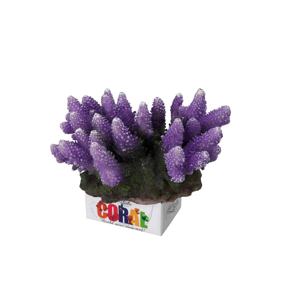 Aqua Della Coral Korallenriff Modul Acropora Bild 4