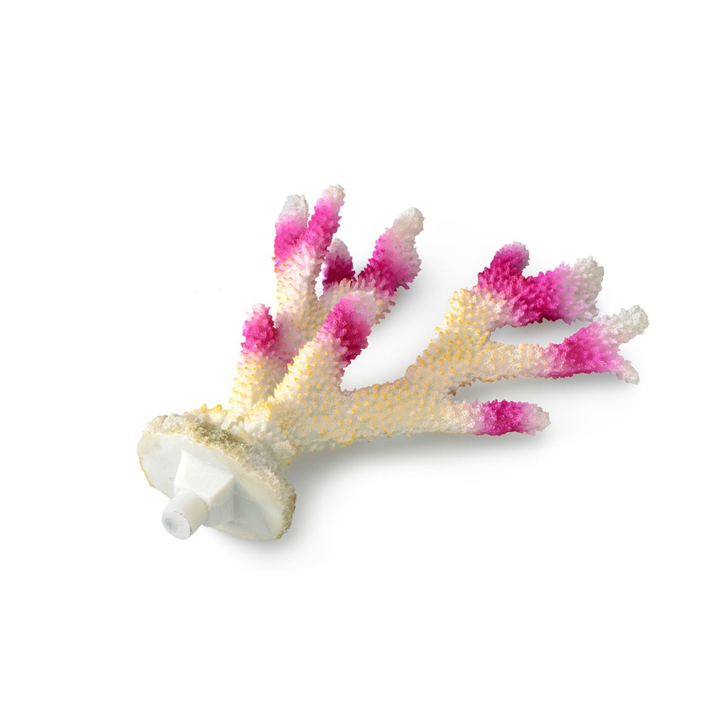 Aqua Della Coral Korallenriff Modul Birdnest Bild 2