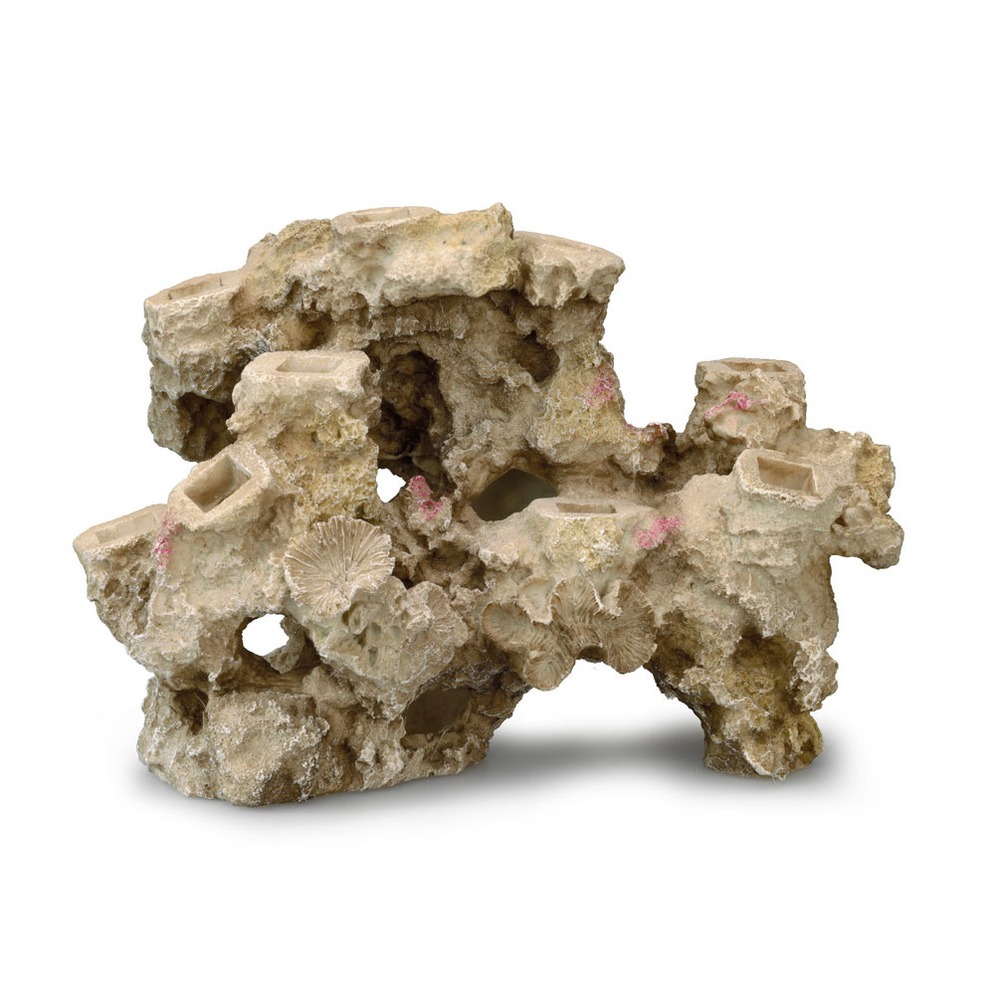 Aqua Della Coral Reef Korallenriff Basis Bild 1