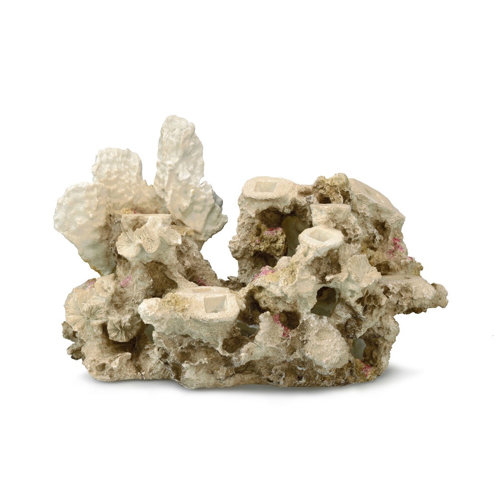 Aqua Della Coral Reef Korallenriff Basis Bild 7