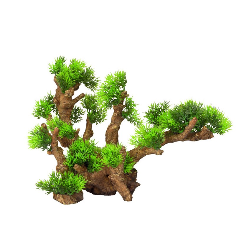 Aqua Della Flora Scape 12 XL Bild 1