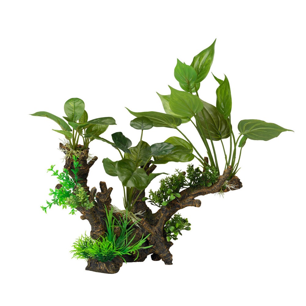 Aqua Della Flora Scape 3 XL Bild 1