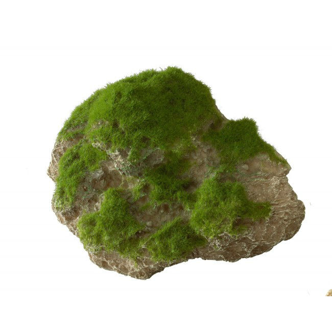 Aqua Della Moss Stone Stein mit Moos Bild 4