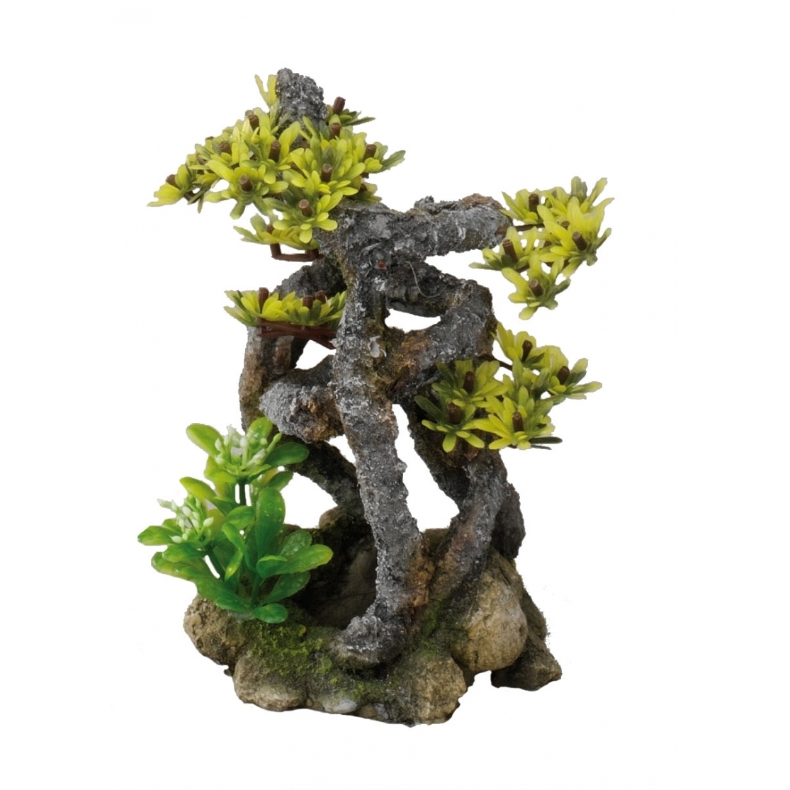 Aqua Della Twist-Bonsai Bild 1