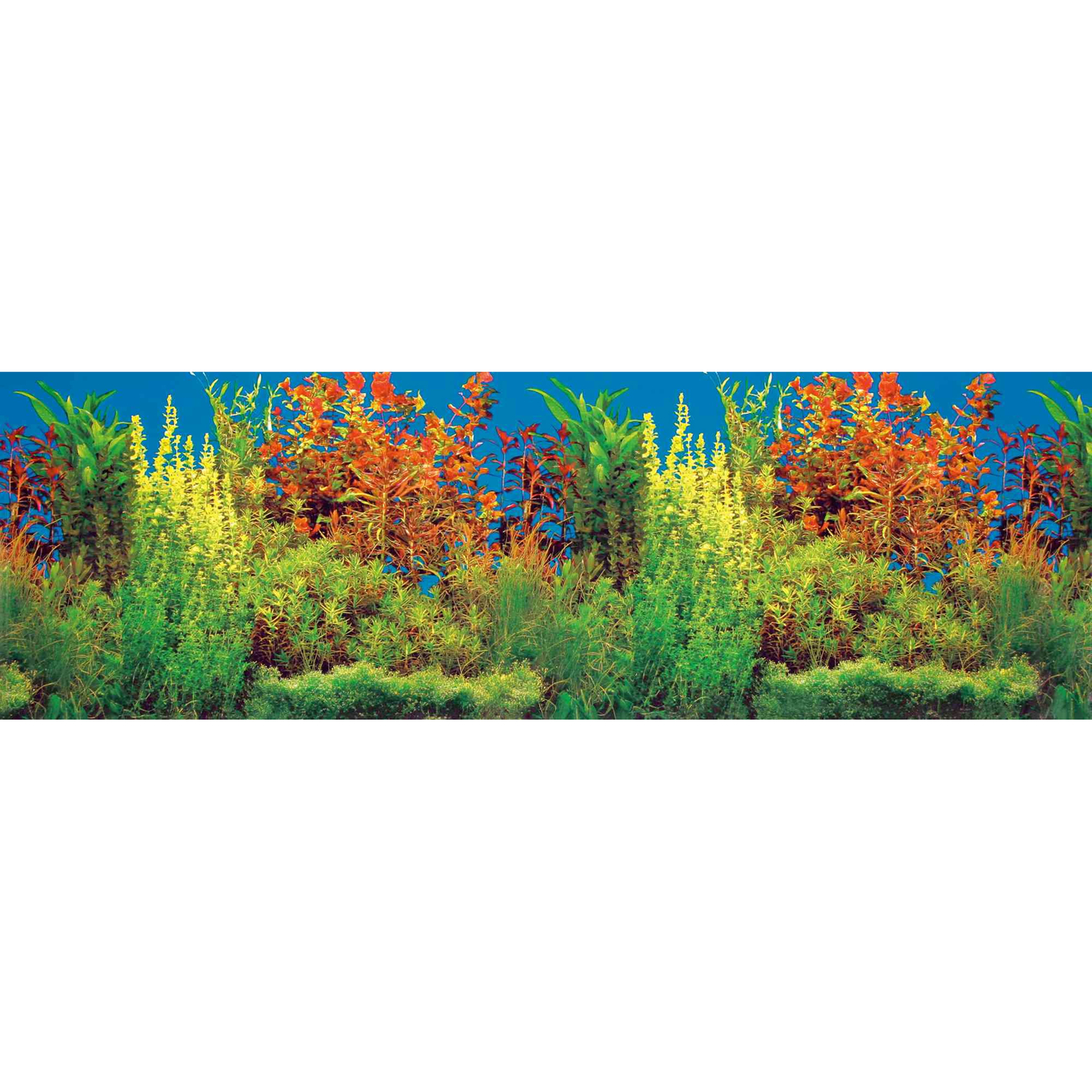 Aquarien Rückwand, doppelt, Süßwasser Bild 3
