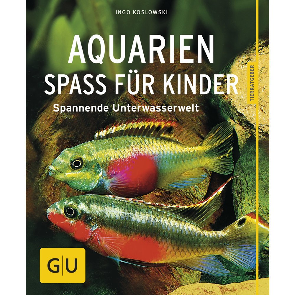 Aquarien Spaß für Kinder Bild 1