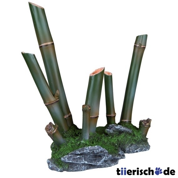 Aquarium Deko Bambus Bild 2
