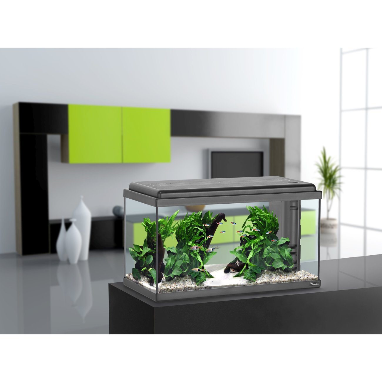 Aquatlantis Advance 60 LED Aquarium Bild 3