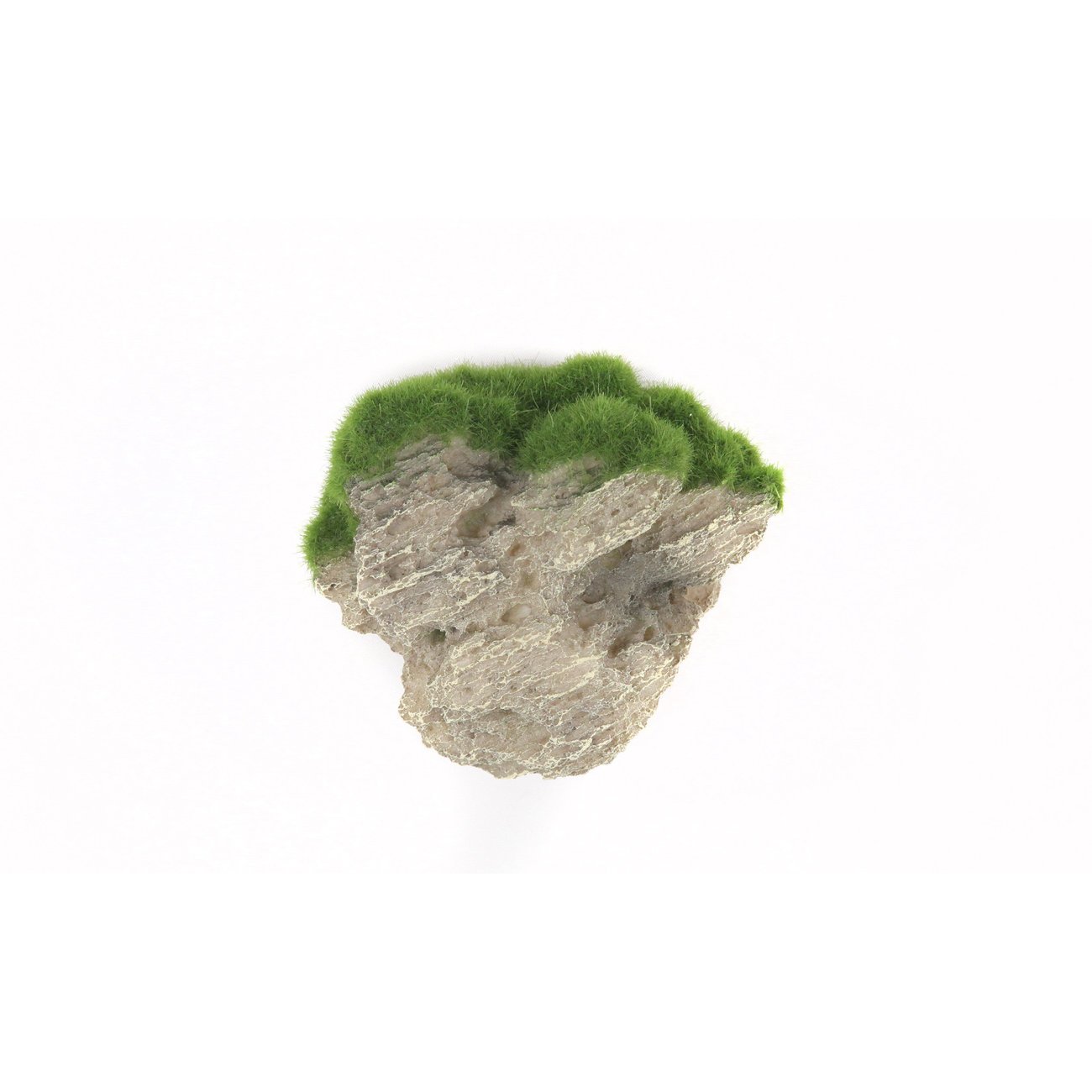 Aquatlantis Aqua Decor Moosfels Bild 2