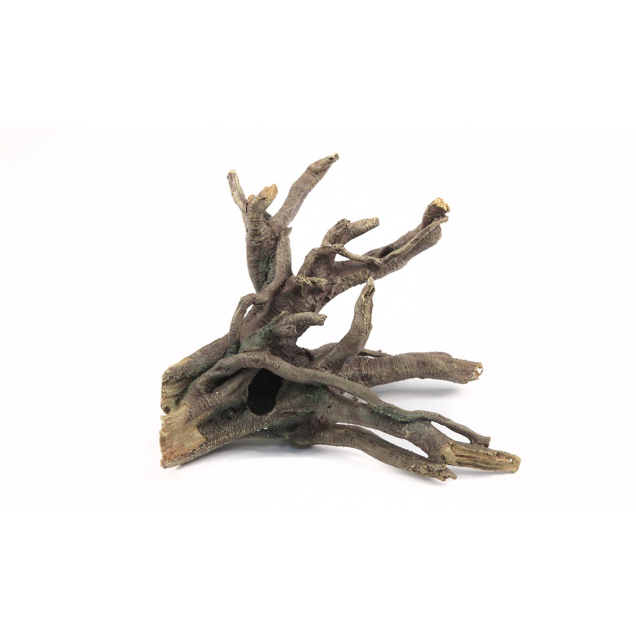 Aquatlantis Aqua Decor Stamm Bild 3