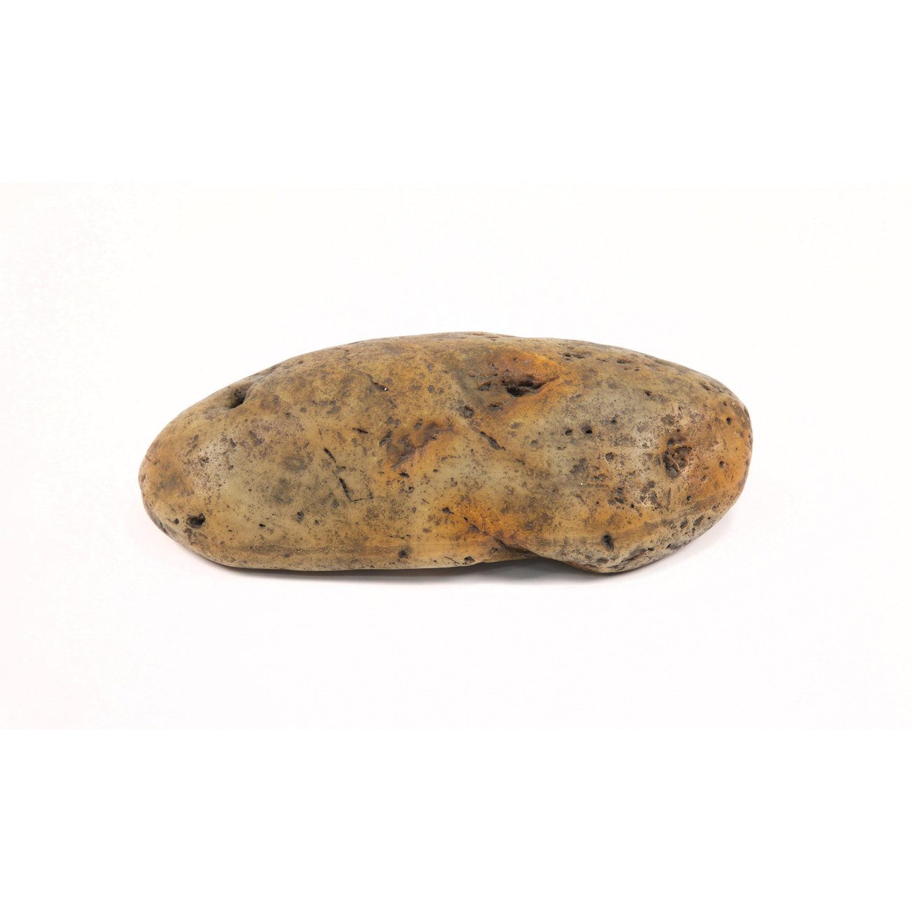 Aquatlantis Aqua Decor Stein Bild 4