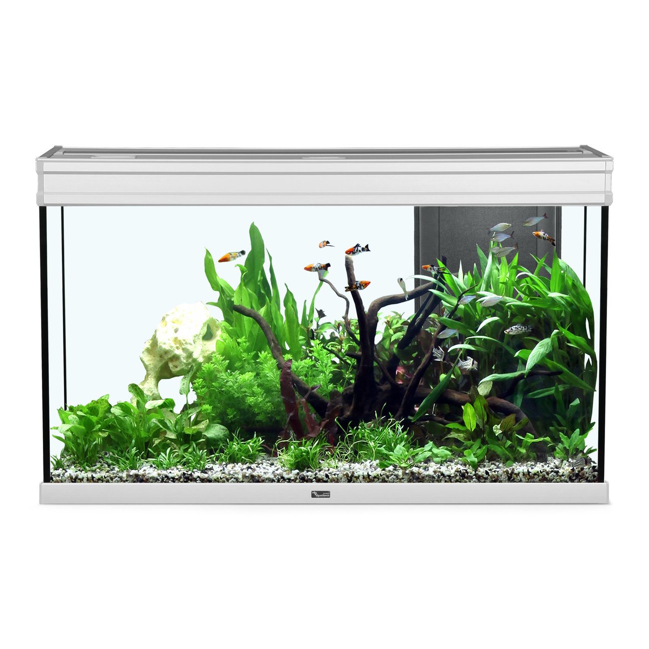 Aquatlantis Elegance Expert 100 Aquarium Bild 2