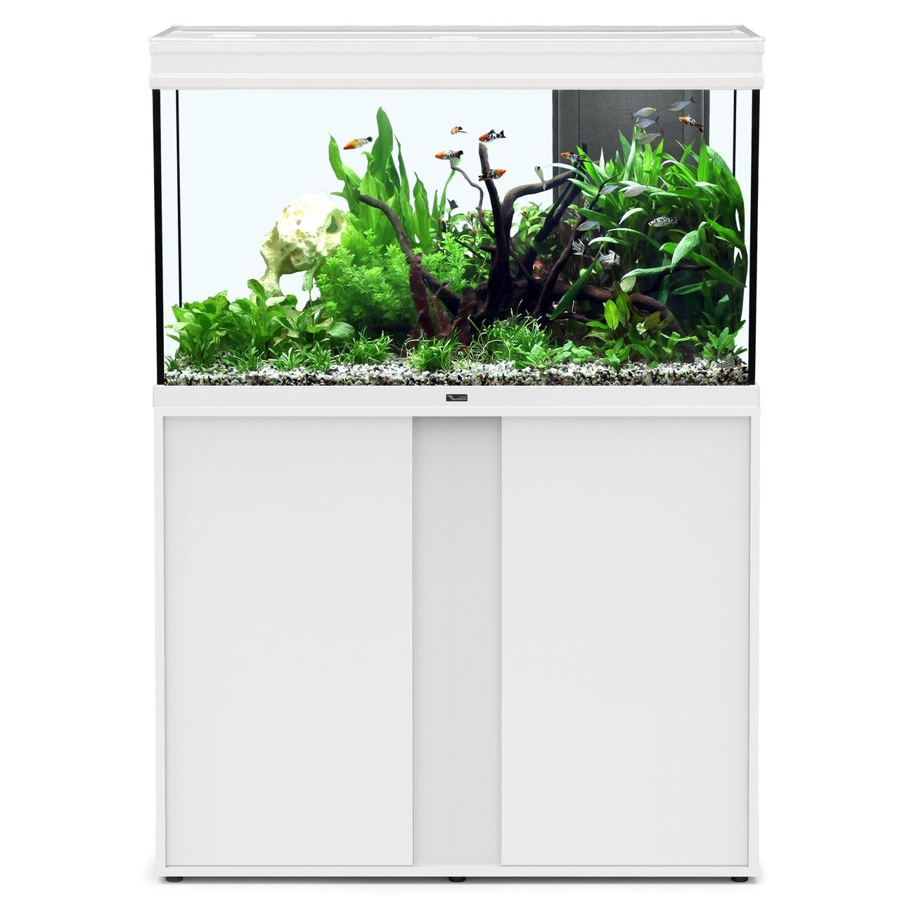 Aquatlantis Elegance Expert 100 mit Unterschrank Bild 3