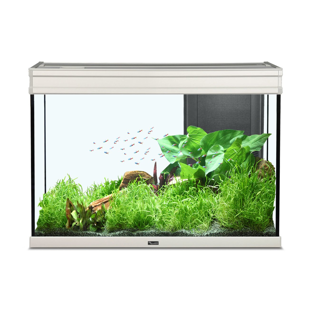 Aquatlantis Elegance Expert 80 Aquarium Bild 2