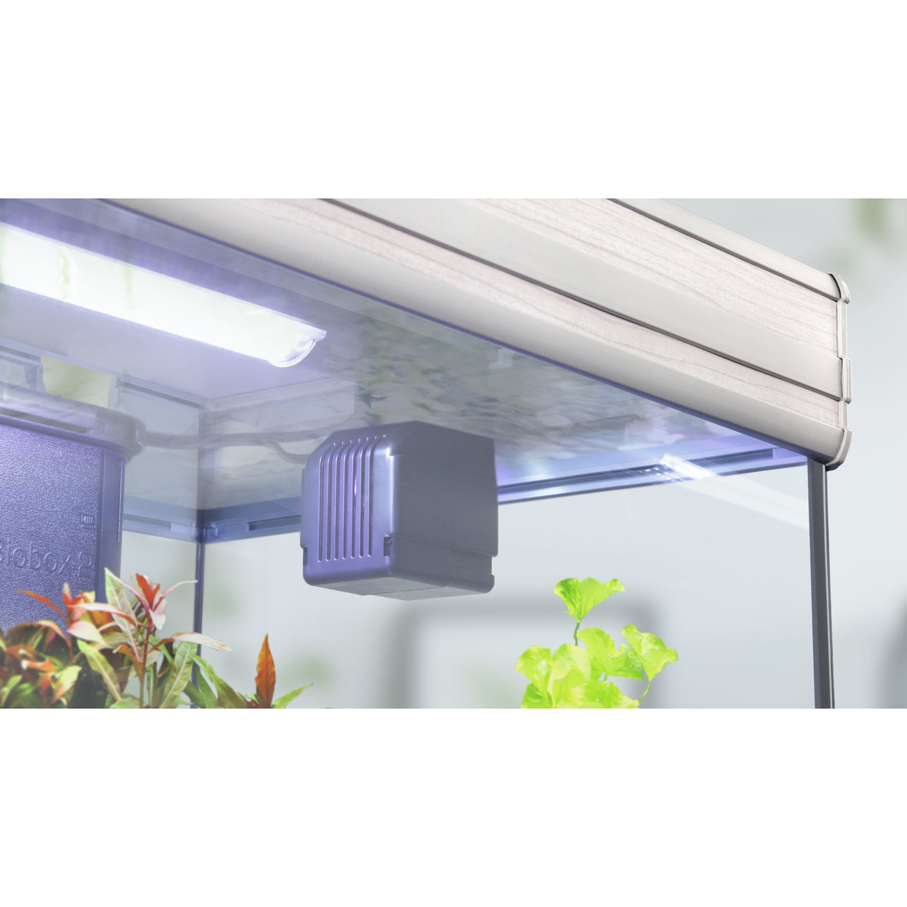 Aquatlantis FUSION LED 2.0 Aquarium Kombination Bild 22
