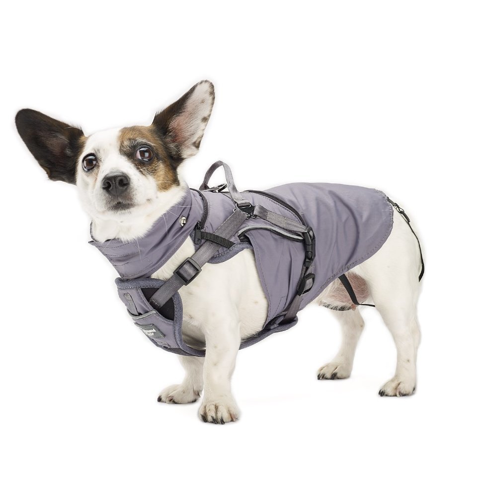 2-in-1 All Weather Hundegeschirr mit Jacke Bild 3