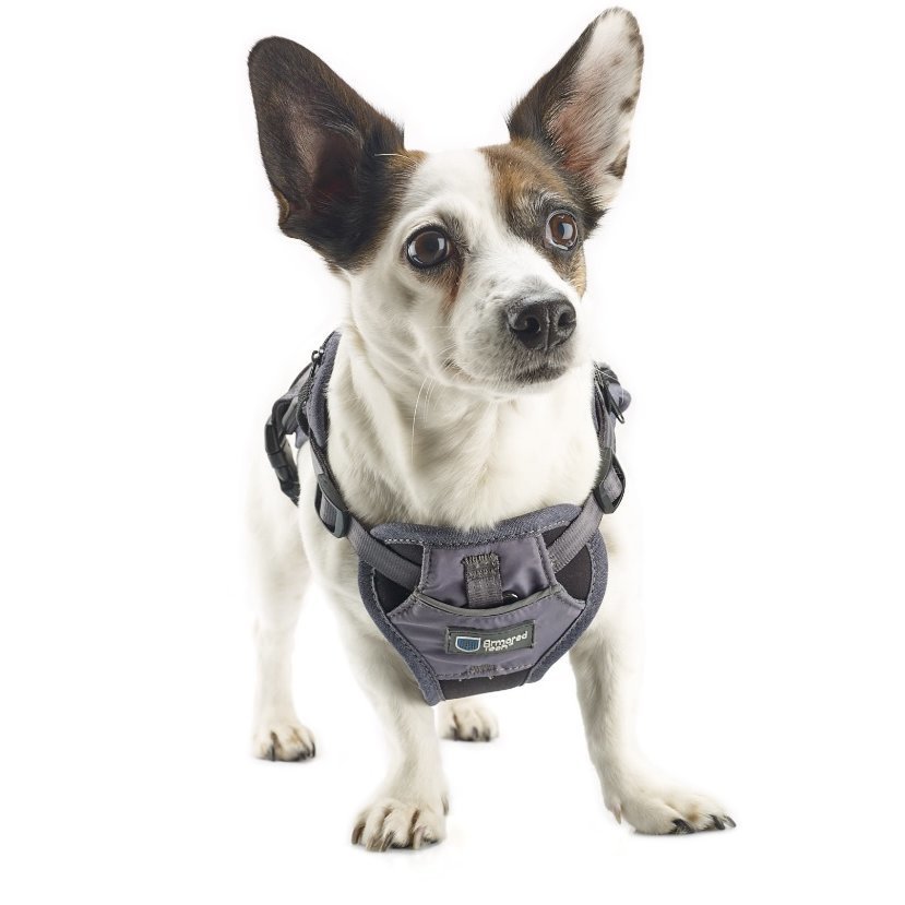 2-in-1 All Weather Hundegeschirr mit Jacke Bild 5