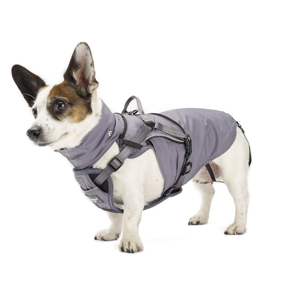 2-in-1 All Weather Hundegeschirr mit Jacke Bild 7