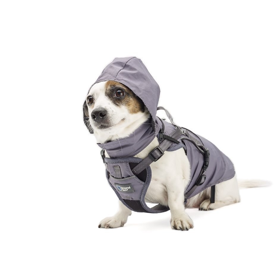 2-in-1 All Weather Hundegeschirr mit Jacke Bild 8