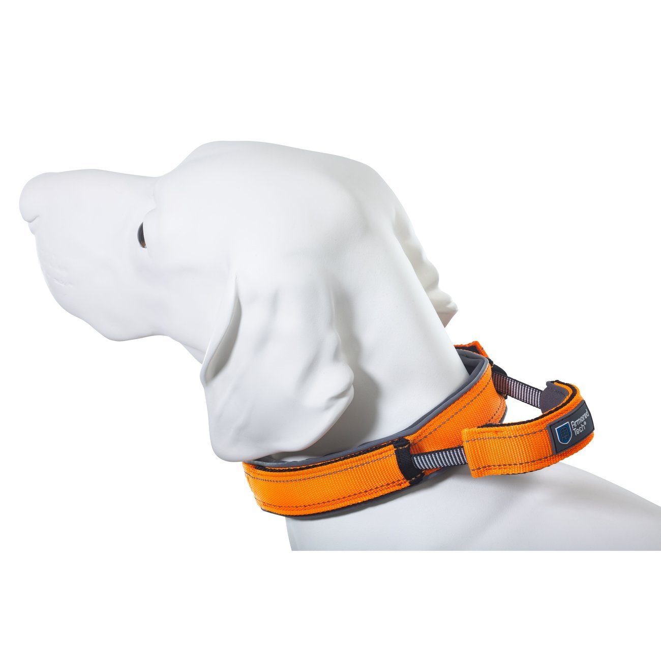 Hundehalsband mit Griff Bild 3