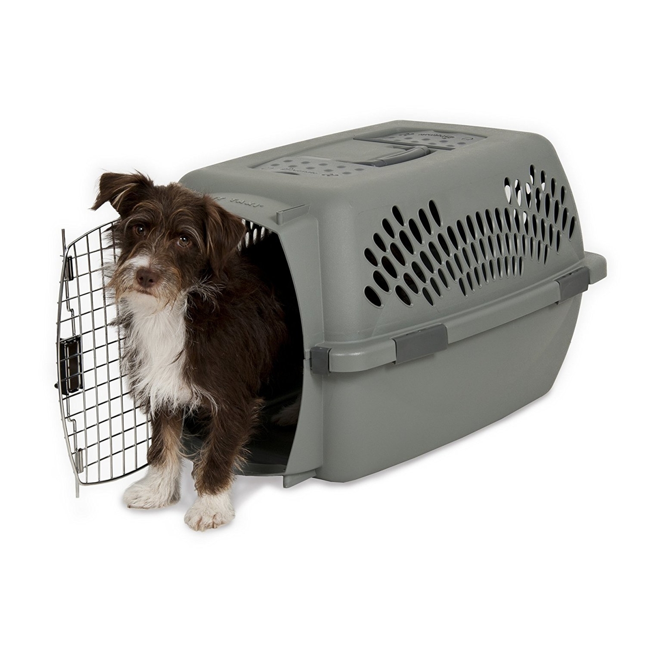 Aspen Pet Taxi Transportbox Bild 2