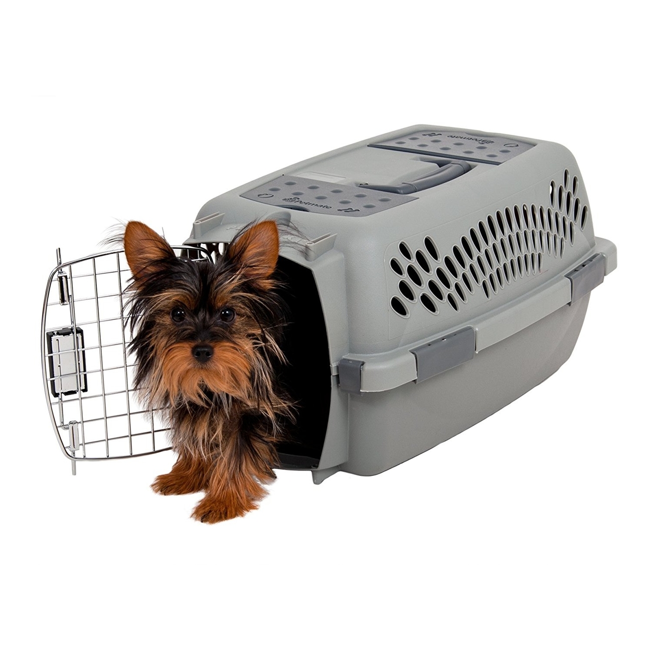 Aspen Pet Taxi Transportbox Bild 1