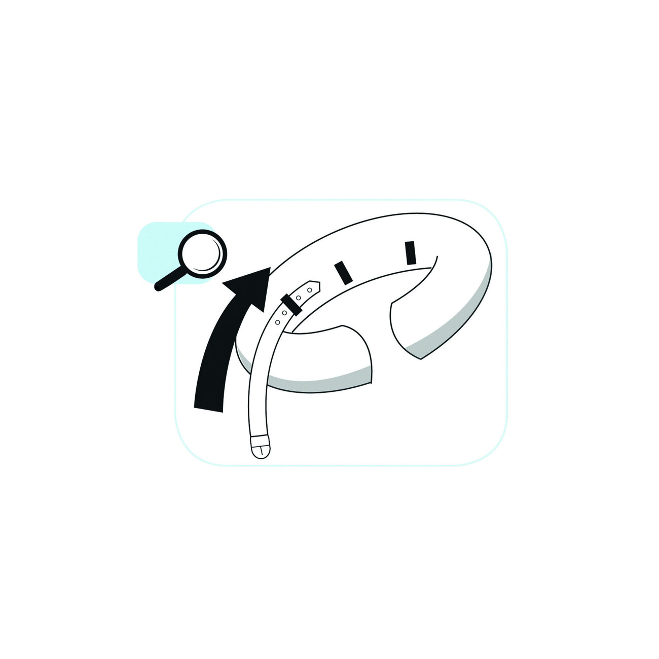 Aufblasbarer Hundekragen Bild 3