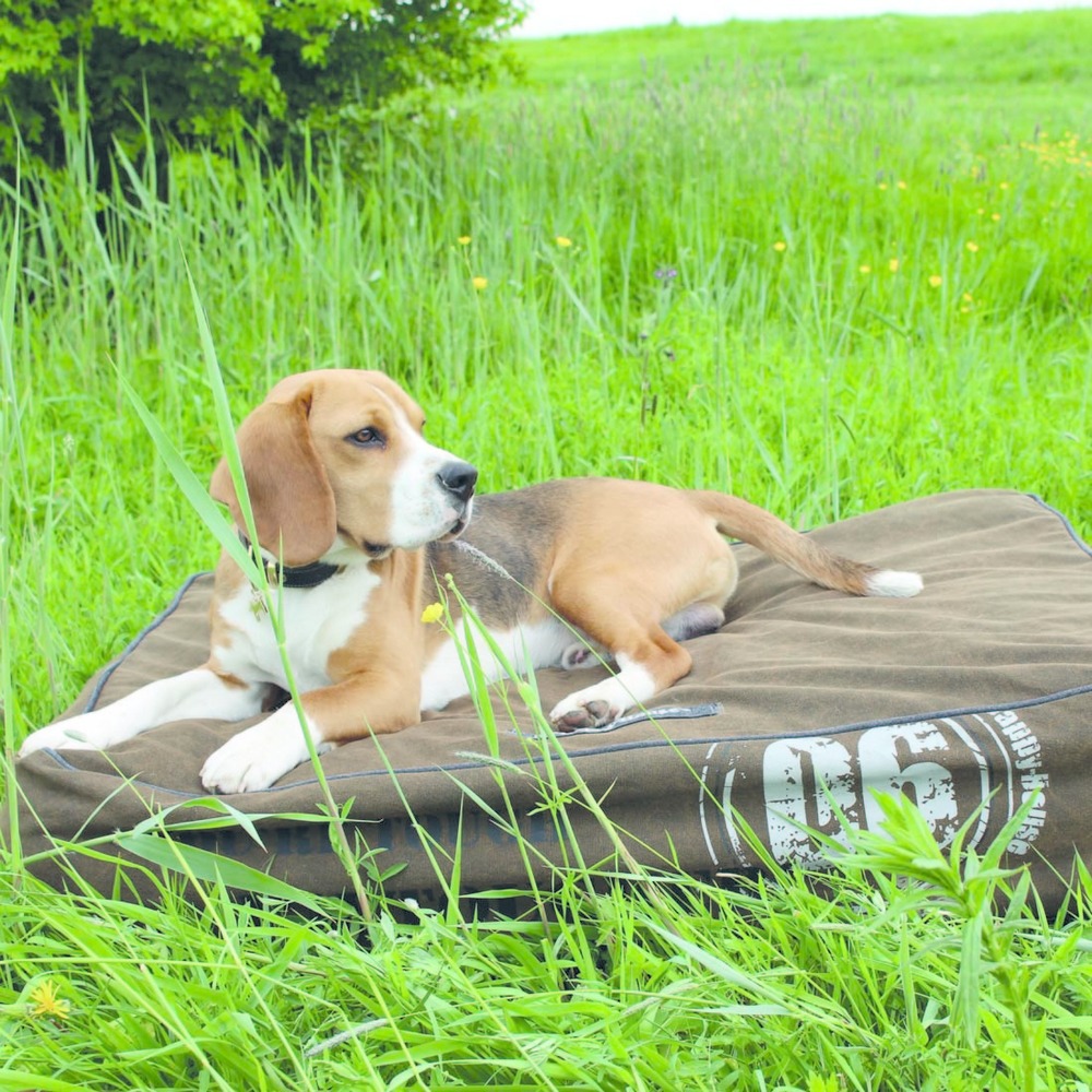 Aufblasbares Hundekissen Tough Bild 5