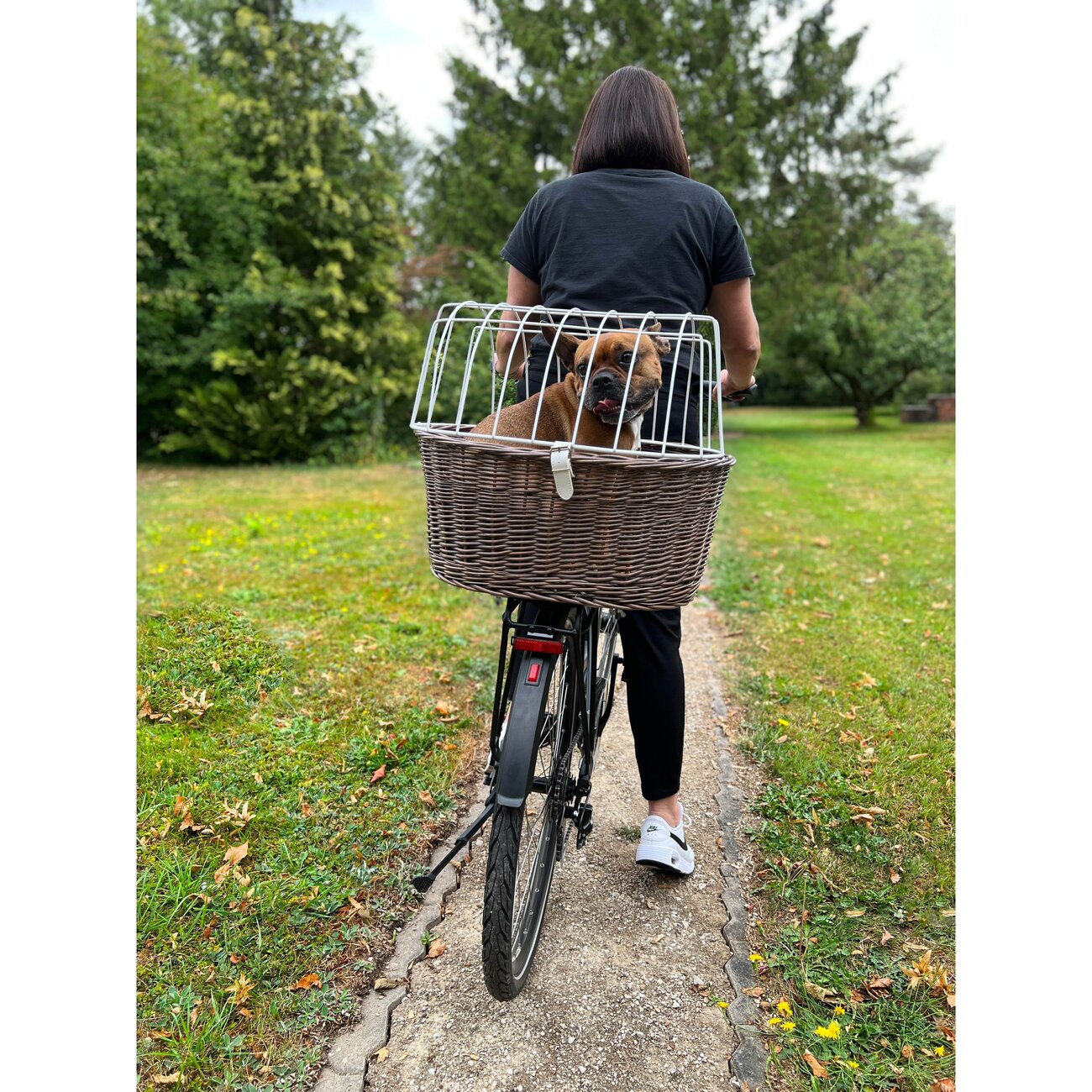 Faszinierend Fahrradkorb Fr Den Hund Ebenbild