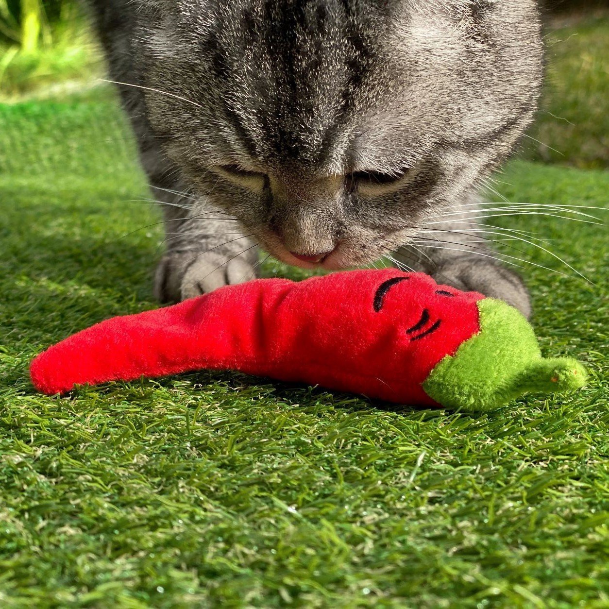 Katzenspielkissen Chili Bild 6