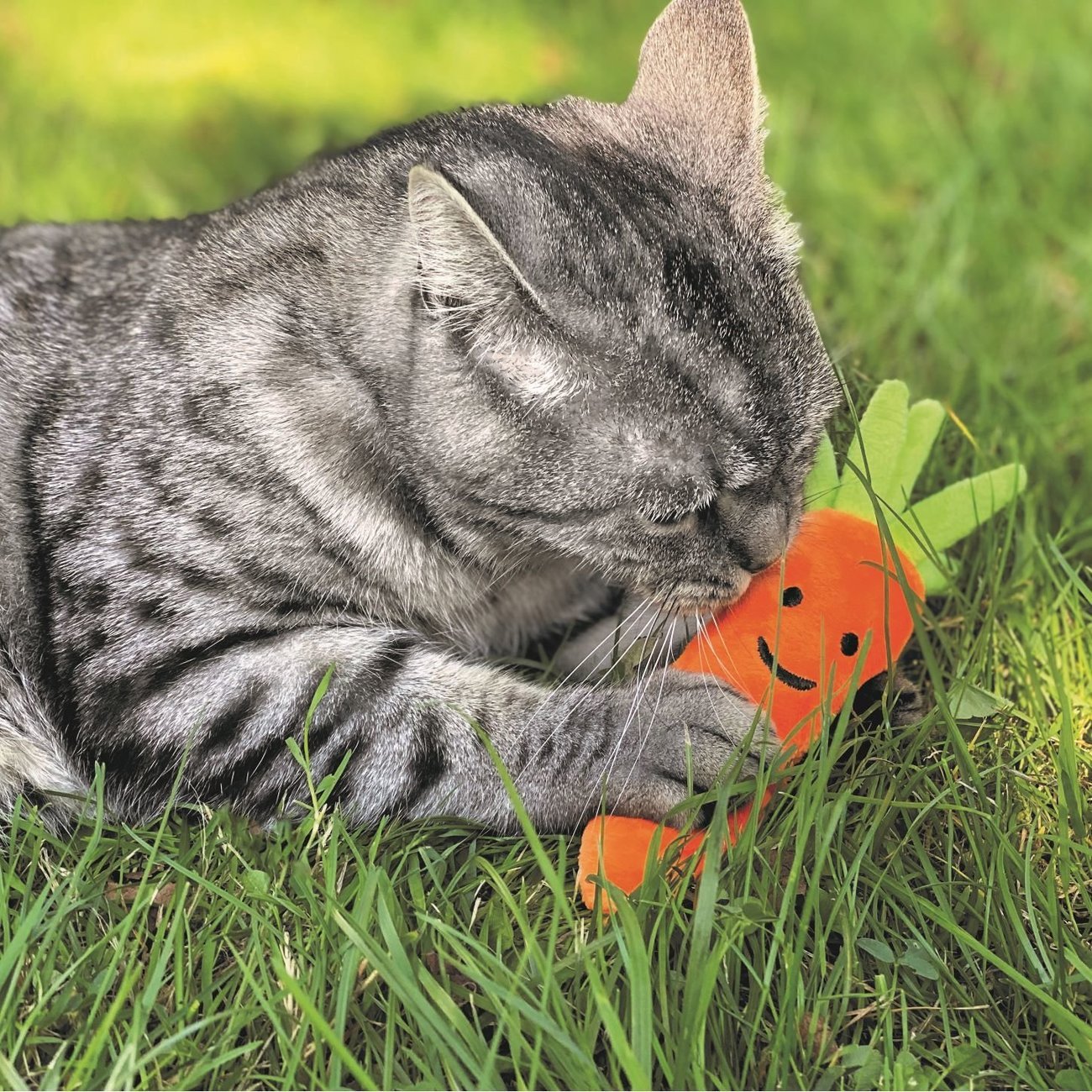 Katzenspielkissen Karotte Bild 2