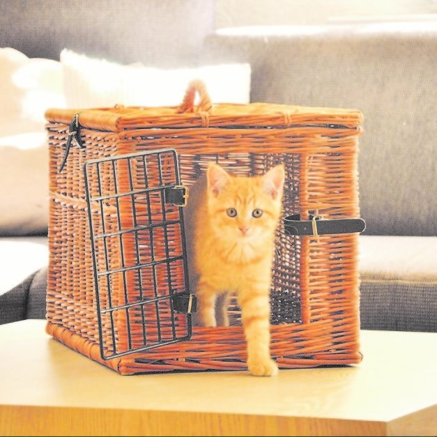 Transportkorb Weide für Katzen Bild 2