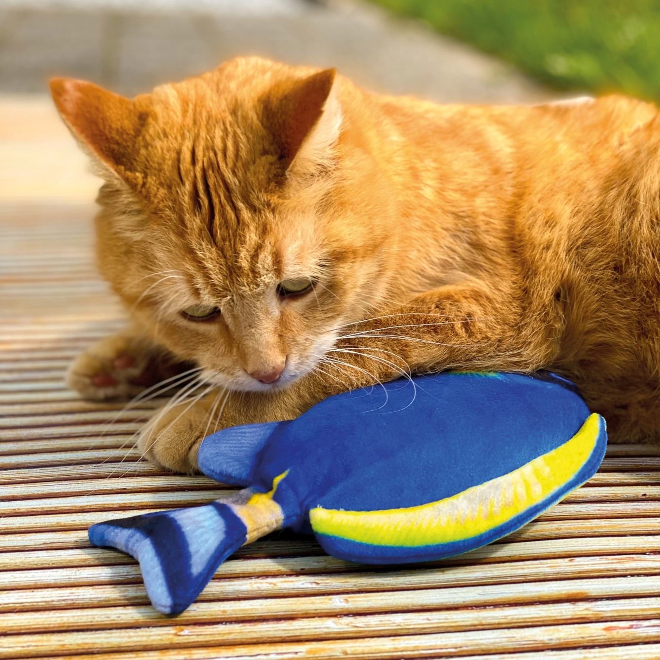 Katzenspielzeug Zappelfisch mit Katzenminze Bild 11