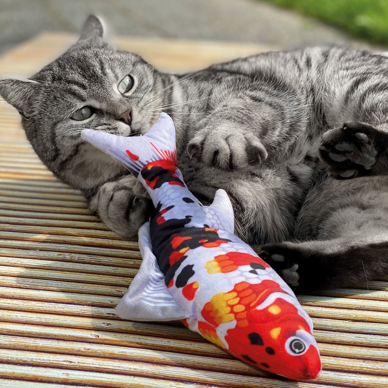 Katzenspielzeug Zappelfisch mit Katzenminze Bild 4