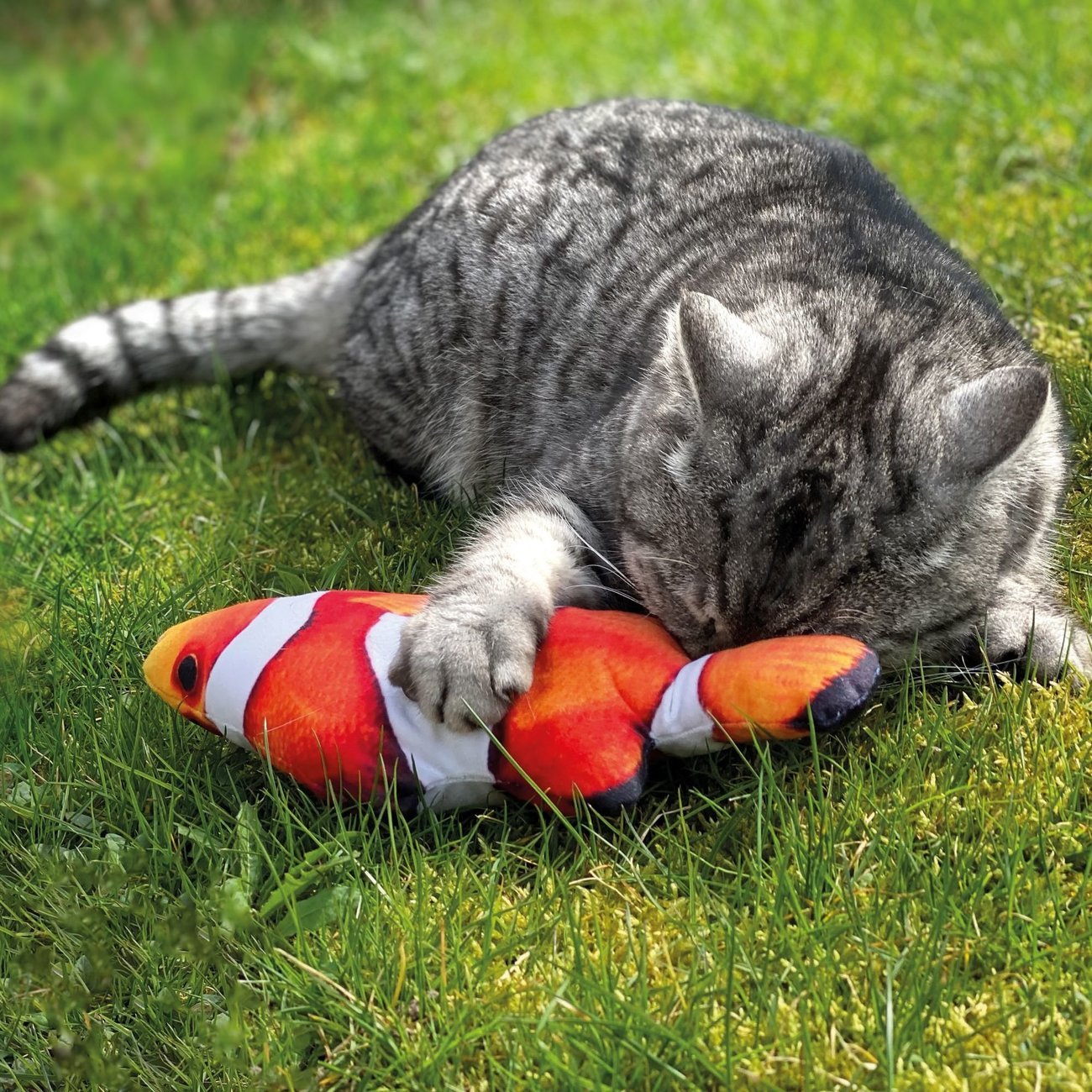 Aumüller Katzen Spielzeug Frettchen Figo 3er Set - Mit Baldrian, Katzenminze & Silver Vine