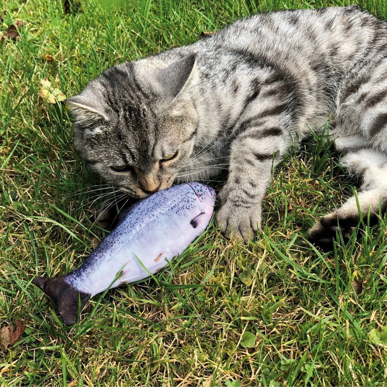 Katzenspielzeug Zappelfisch mit Katzenminze Bild 12