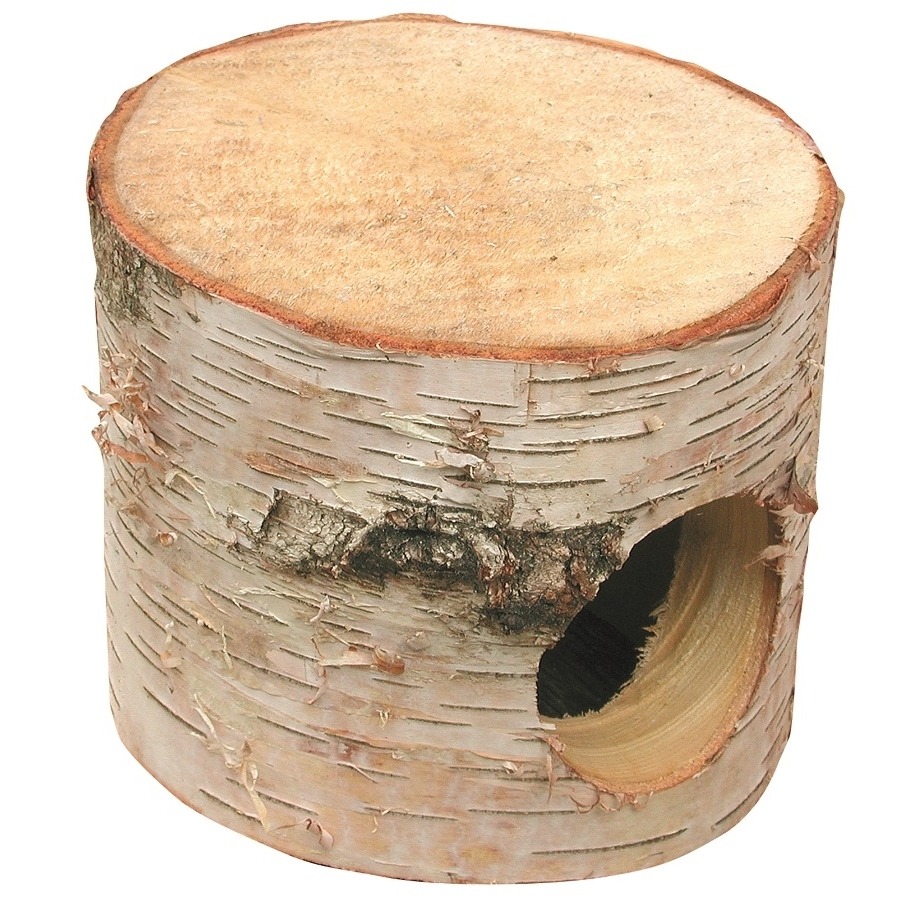 Auratus Höhle klein Bild 1