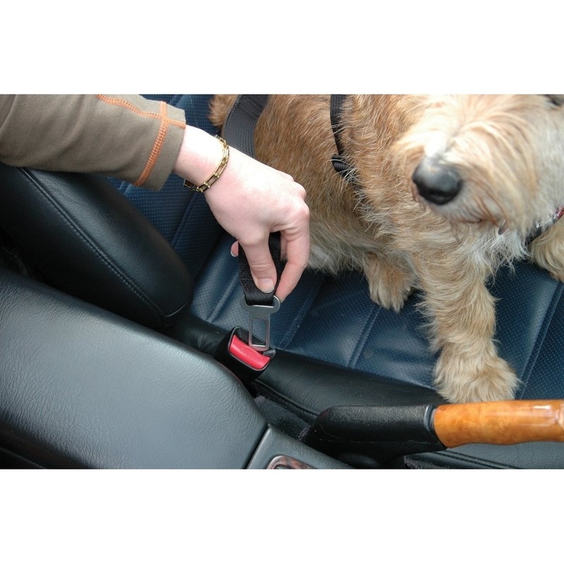 Autogeschirr für Hunde CLIX Car Safe Bild 12