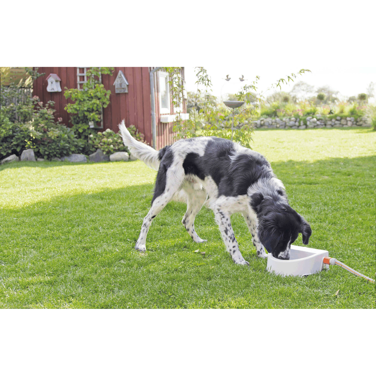 Automatische Outdoor-Tränke Bild 4