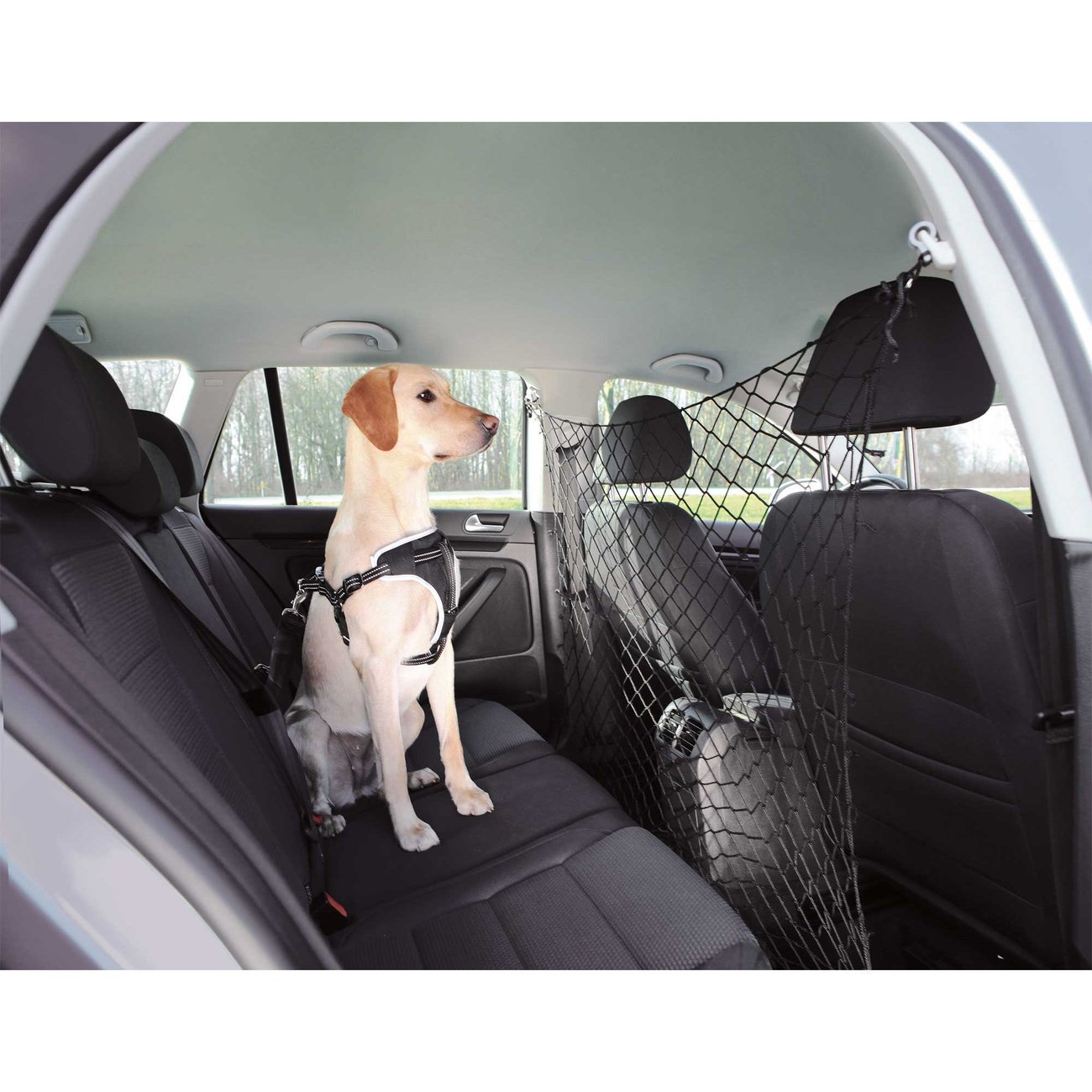 Autonetz Schutznetz für Hunde Bild 3