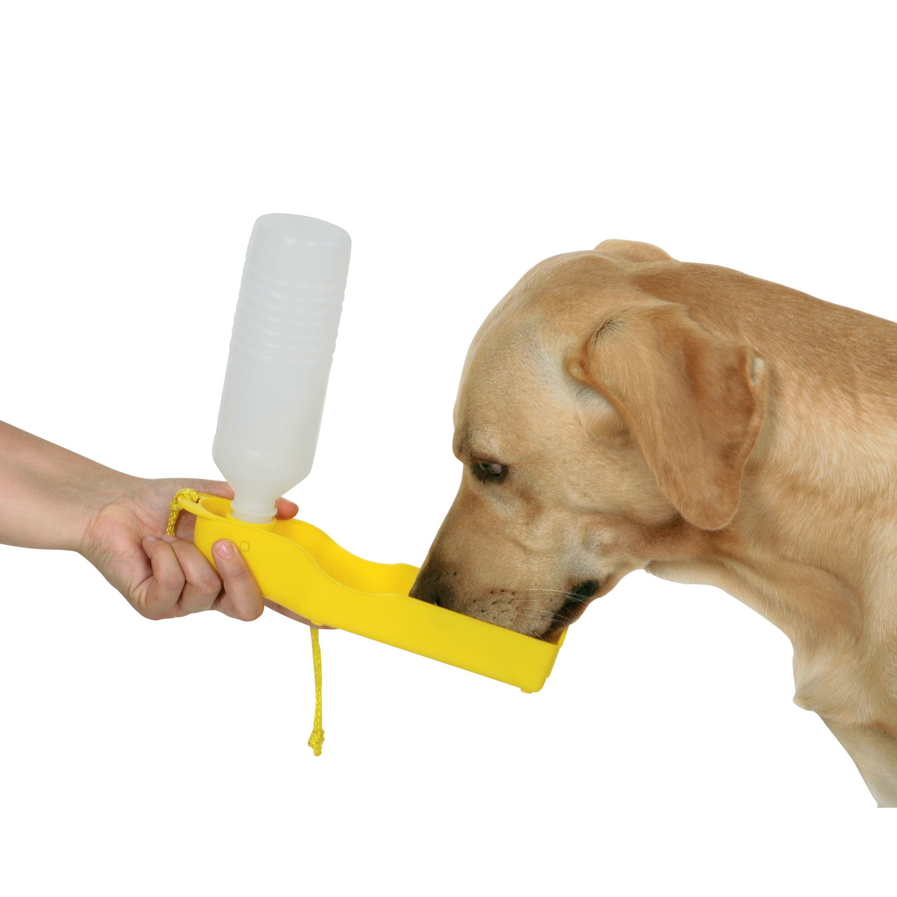 Autoschondecke Nylon mit Reisetrinkflasche Bild 3