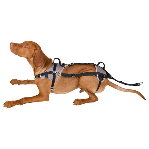 Autosicherheitsgeschirr Travel Protect Bild 3