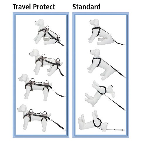 Autosicherheitsgeschirr Travel Protect Bild 4