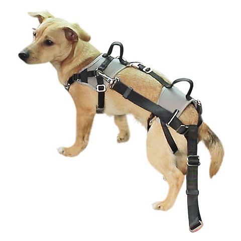 Autosicherheitsgeschirr Travel Protect Bild 6